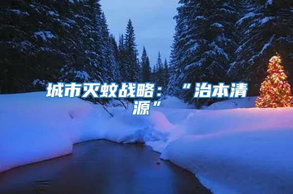 城市滅蚊戰(zhàn)略:“治本清源”