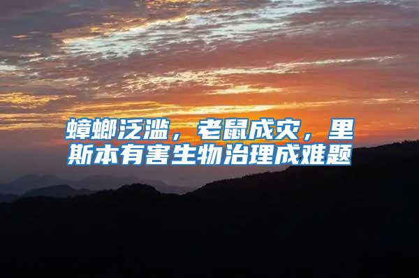 蟑螂泛濫,老鼠成災,里斯本有害生物治理成難題