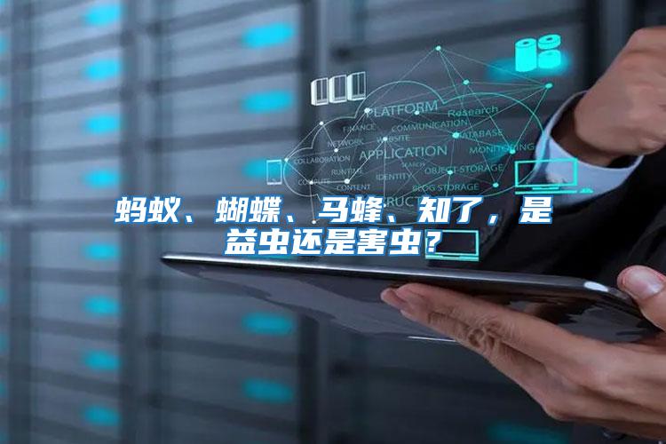 螞蟻、蝴蝶、馬蜂、知了，是益蟲還是害蟲？