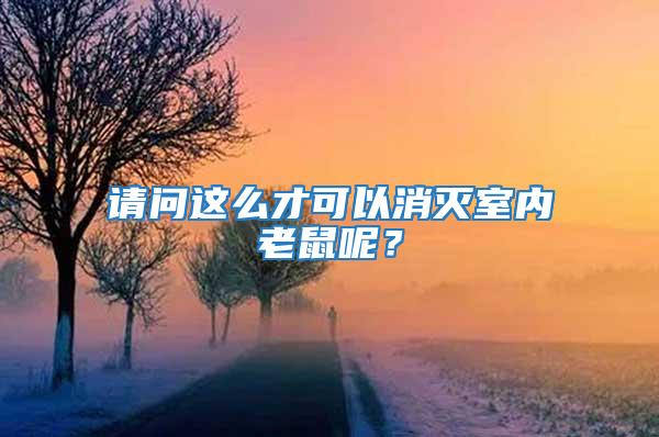 請問這么才可以消滅室內(nèi)老鼠呢?
