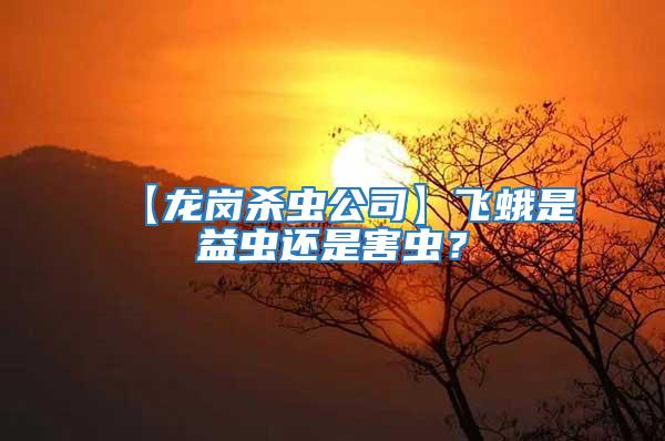 【龍崗殺蟲公司】飛蛾是益蟲還是害蟲?