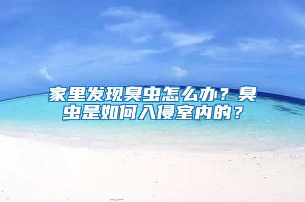 家里發現臭蟲怎么辦?臭蟲是如何入侵室內的?