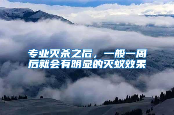 專業滅殺之后,一般一周后就會有明顯的滅蟻效果