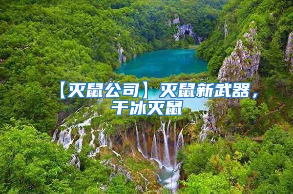 【滅鼠公司】滅鼠新武器,干冰滅鼠