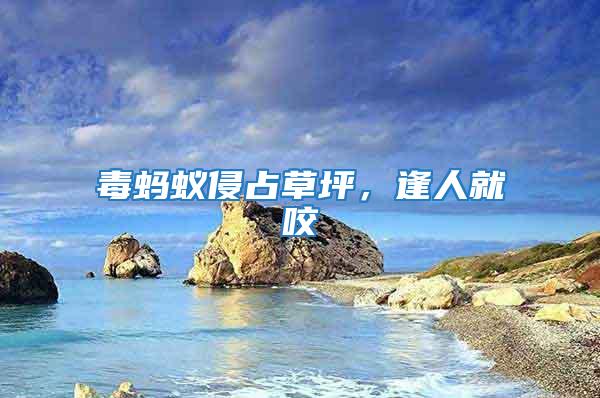 毒螞蟻侵占草坪,逢人就咬