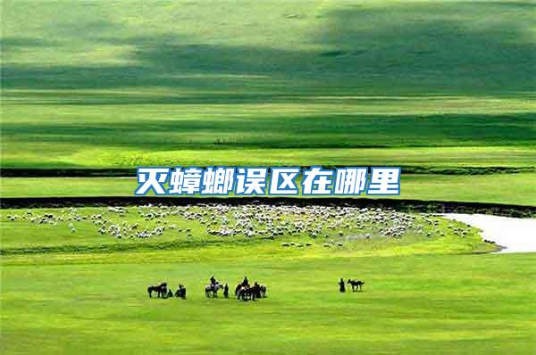 滅蟑螂誤區在哪里