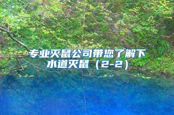 專業(yè)滅鼠公司帶您了解下水道滅鼠(2-2)