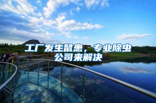 工廠發(fā)生鼠患,專業(yè)除蟲公司來解決