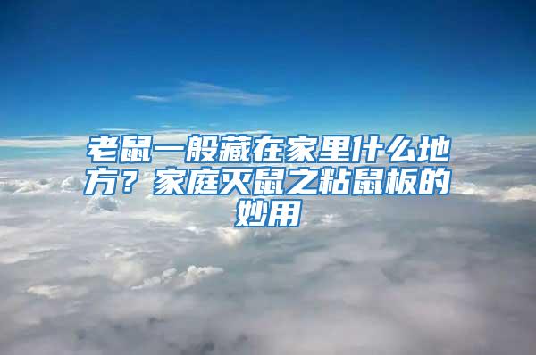 老鼠一般藏在家里什么地方?家庭滅鼠之粘鼠板的妙用