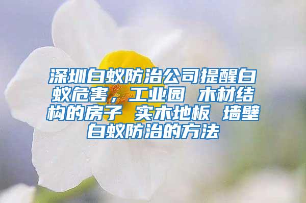 深圳白蟻防治公司提醒白蟻危害,工業園 木材結構的房子 實木地板 墻壁白蟻防治的方法