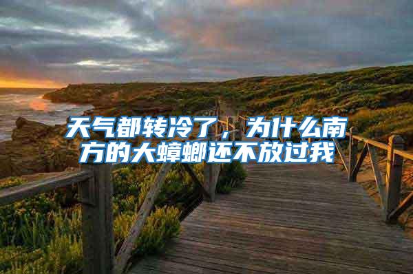 天氣都轉(zhuǎn)冷了,為什么南方的大蟑螂還不放過(guò)我