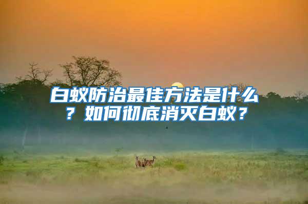 白蟻防治最佳方法是什么？如何徹底消滅白蟻？