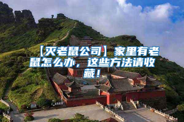 【滅老鼠公司】家里有老鼠怎么辦，這些方法請收藏！