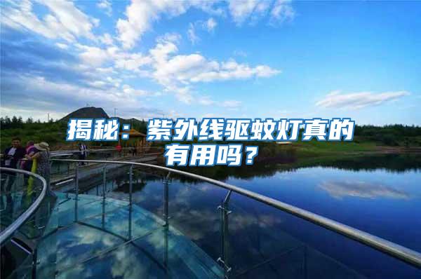 揭秘:紫外線驅蚊燈真的有用嗎?