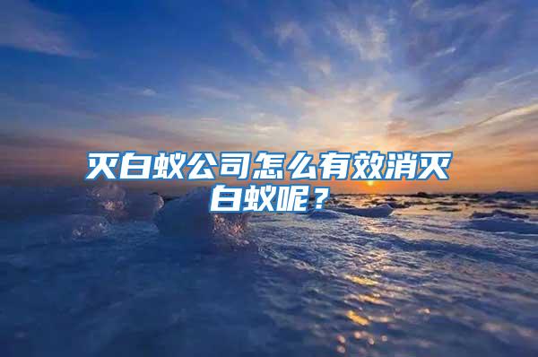 滅白蟻公司怎么有效消滅白蟻呢?