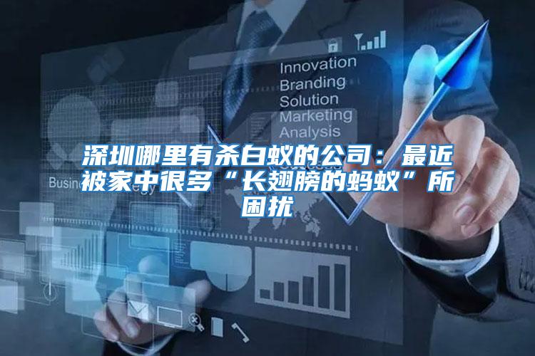 深圳哪里有殺白蟻的公司:最近被家中很多“長翅膀的螞蟻”所困擾