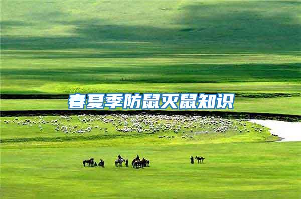 春夏季防鼠滅鼠知識