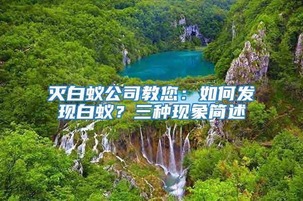滅白蟻公司教您:如何發現白蟻?三種現象簡述