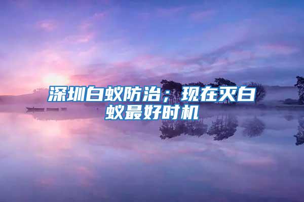 深圳白蟻防治；現在滅白蟻最好時機