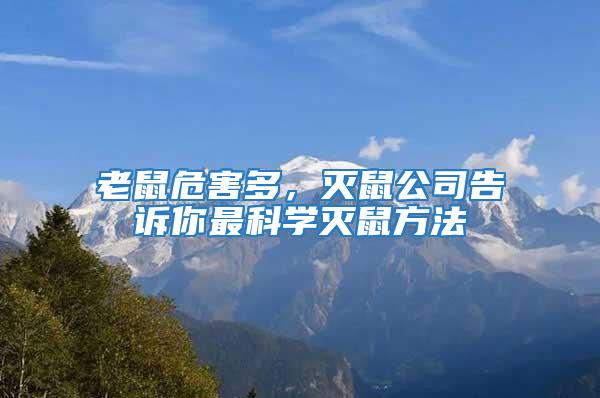 老鼠危害多,滅鼠公司告訴你最科學(xué)滅鼠方法