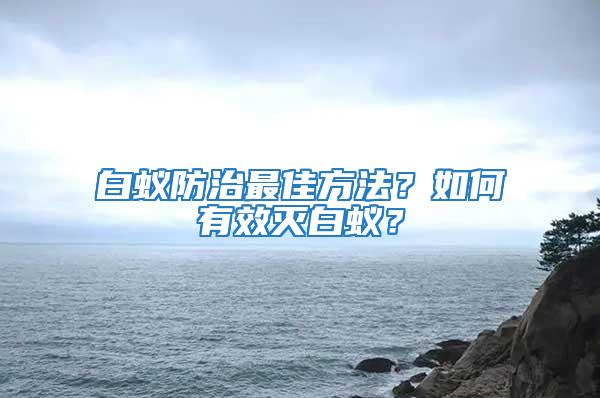 白蟻防治最佳方法？如何有效滅白蟻？