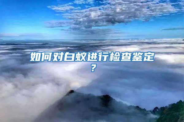 如何對白蟻進行檢查鑒定?