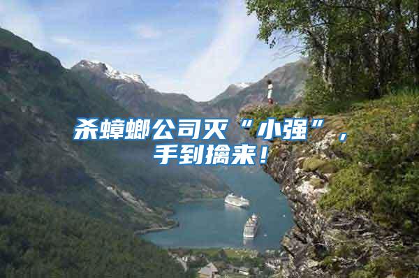 殺蟑螂公司滅“小強”，手到擒來！