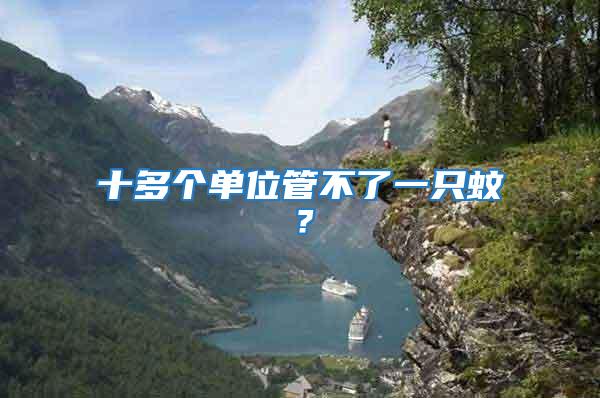 十多個單位管不了一只蚊?