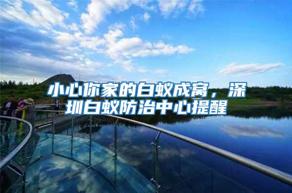 小心你家的白蟻成窩,深圳白蟻防治中心提醒