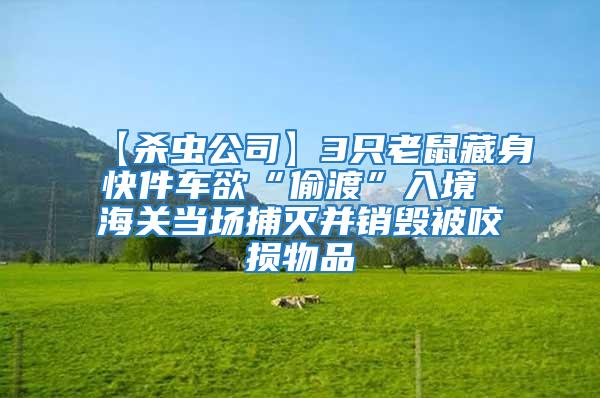 【殺蟲公司】3只老鼠藏身快件車欲“偷渡”入境 海關(guān)當(dāng)場捕滅并銷毀被咬損物品