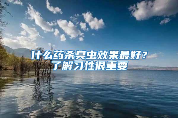 什么藥殺臭蟲效果最好？了解習性很重要