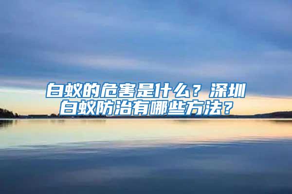 白蟻的危害是什么?深圳白蟻防治有哪些方法?