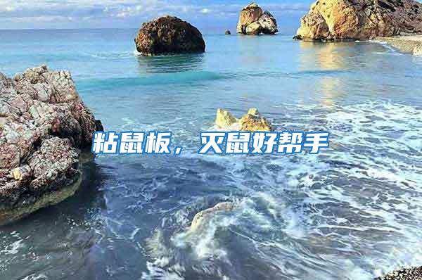 粘鼠板，滅鼠好幫手