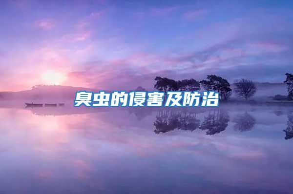 臭蟲(chóng)的侵害及防治