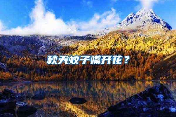 秋天蚊子嘴開花？