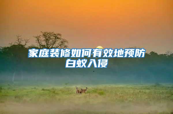 家庭裝修如何有效地預防白蟻入侵