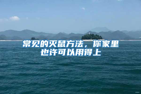 常見的滅鼠方法,你家里也許可以用得上
