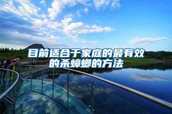 目前適合于家庭的最有效的殺蟑螂的方法