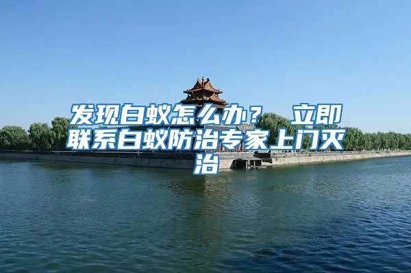 發現白蟻怎么辦？ 立即聯系白蟻防治專家上門滅治