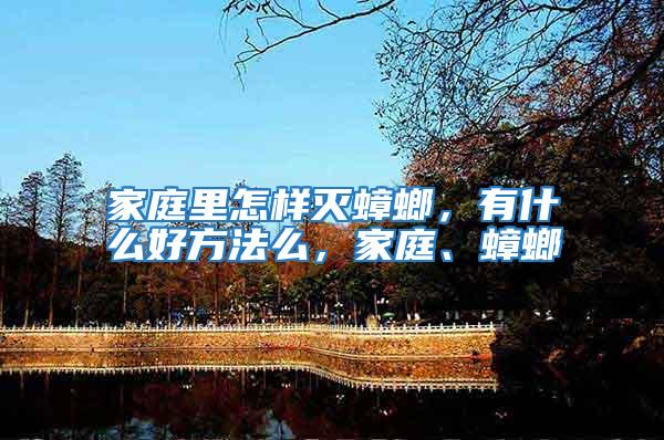 家庭里怎樣滅蟑螂,有什么好方法么,家庭、蟑螂