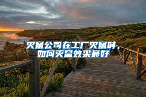 滅鼠公司在工廠滅鼠時(shí),如何滅鼠效果最好