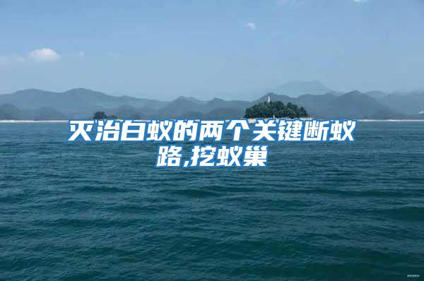 滅治白蟻的兩個(gè)關(guān)鍵斷蟻路,挖蟻巢