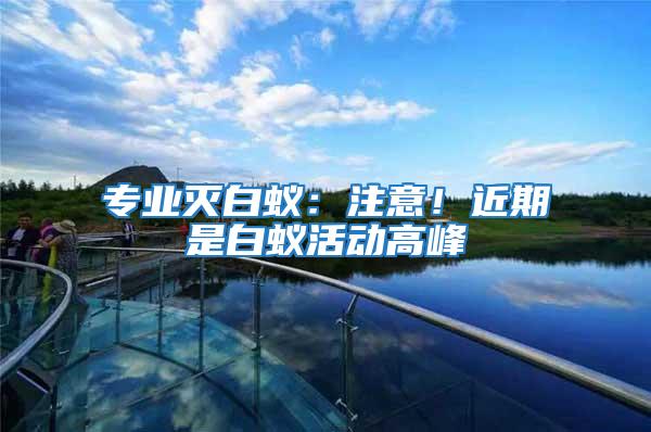 專業滅白蟻:注意!近期是白蟻活動高峰