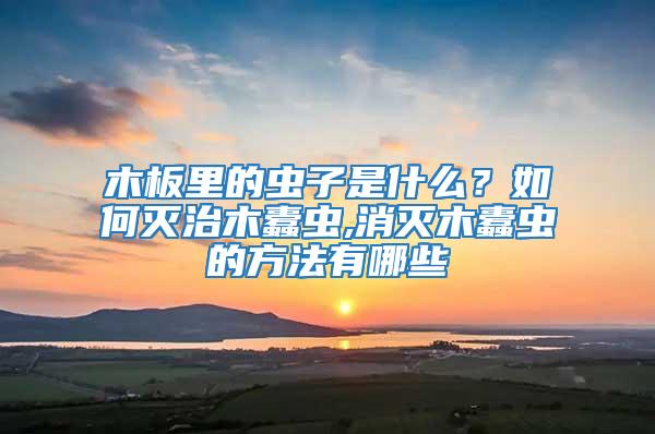 木板里的蟲子是什么？如何滅治木蠹蟲,消滅木蠹蟲的方法有哪些