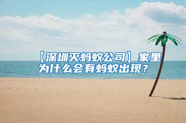 【深圳滅螞蟻公司】家里為什么會有螞蟻出現(xiàn)？