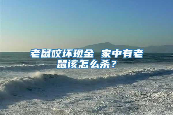 老鼠咬壞現(xiàn)金 家中有老鼠該怎么殺?