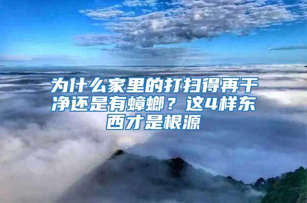 為什么家里的打掃得再干凈還是有蟑螂?這4樣東西才是根源