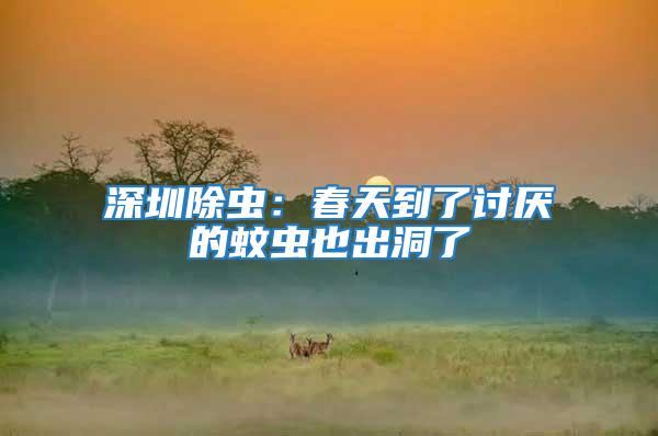 深圳除蟲:春天到了討厭的蚊蟲也出洞了