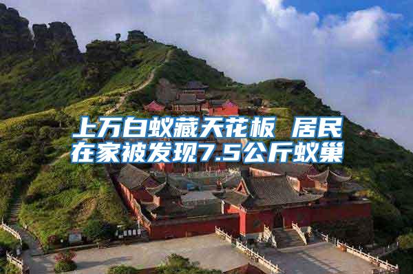上萬白蟻藏天花板 居民在家被發現7.5公斤蟻巢
