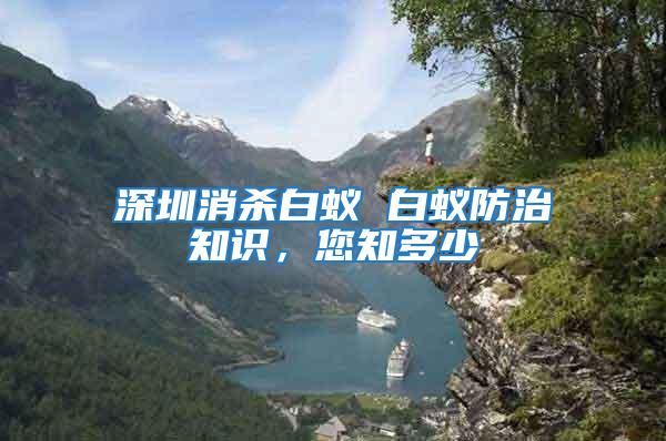 深圳消殺白蟻 白蟻防治知識,您知多少
